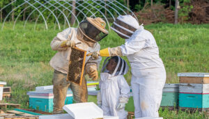 Adults in beekeeping suits teaching child about honeycomb. Beehivees and hoop house in background.