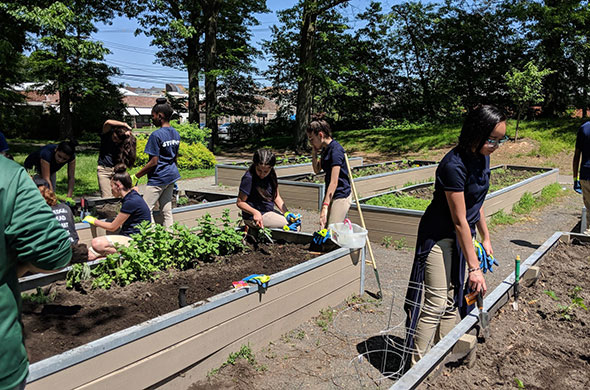 Students working in raised garden beds.