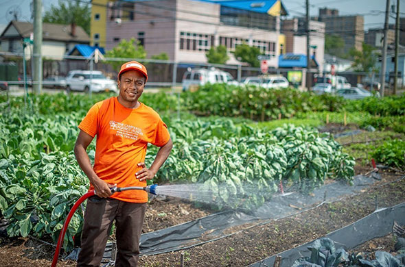 Watering crops.