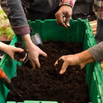 Snapshot of multiple hands feeling compost in a green bin