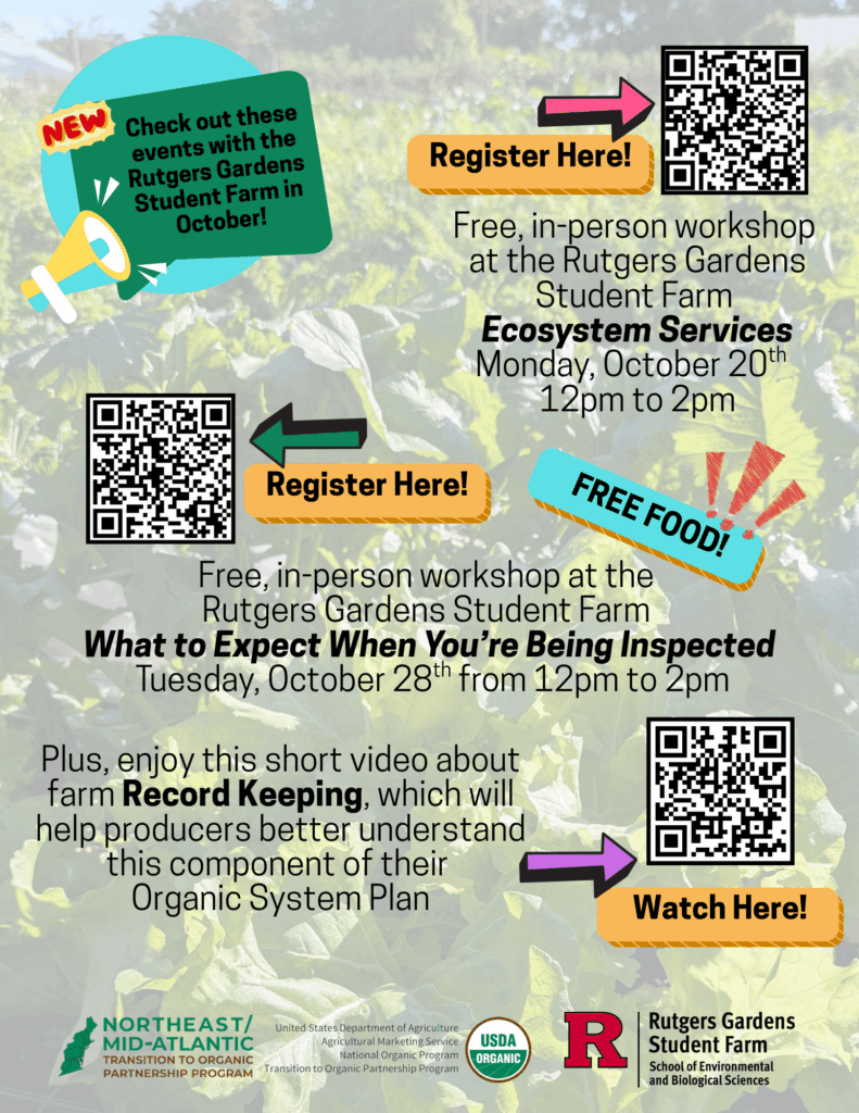 Flyer for workshops including QR codes to registration links.