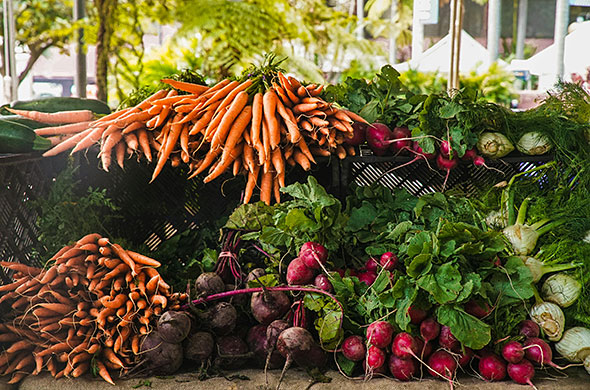 Carrots, radishes and other harvested vegetables