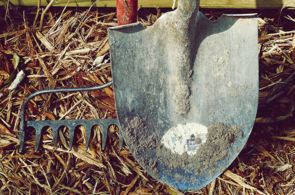 Garden implements resting on mulch.